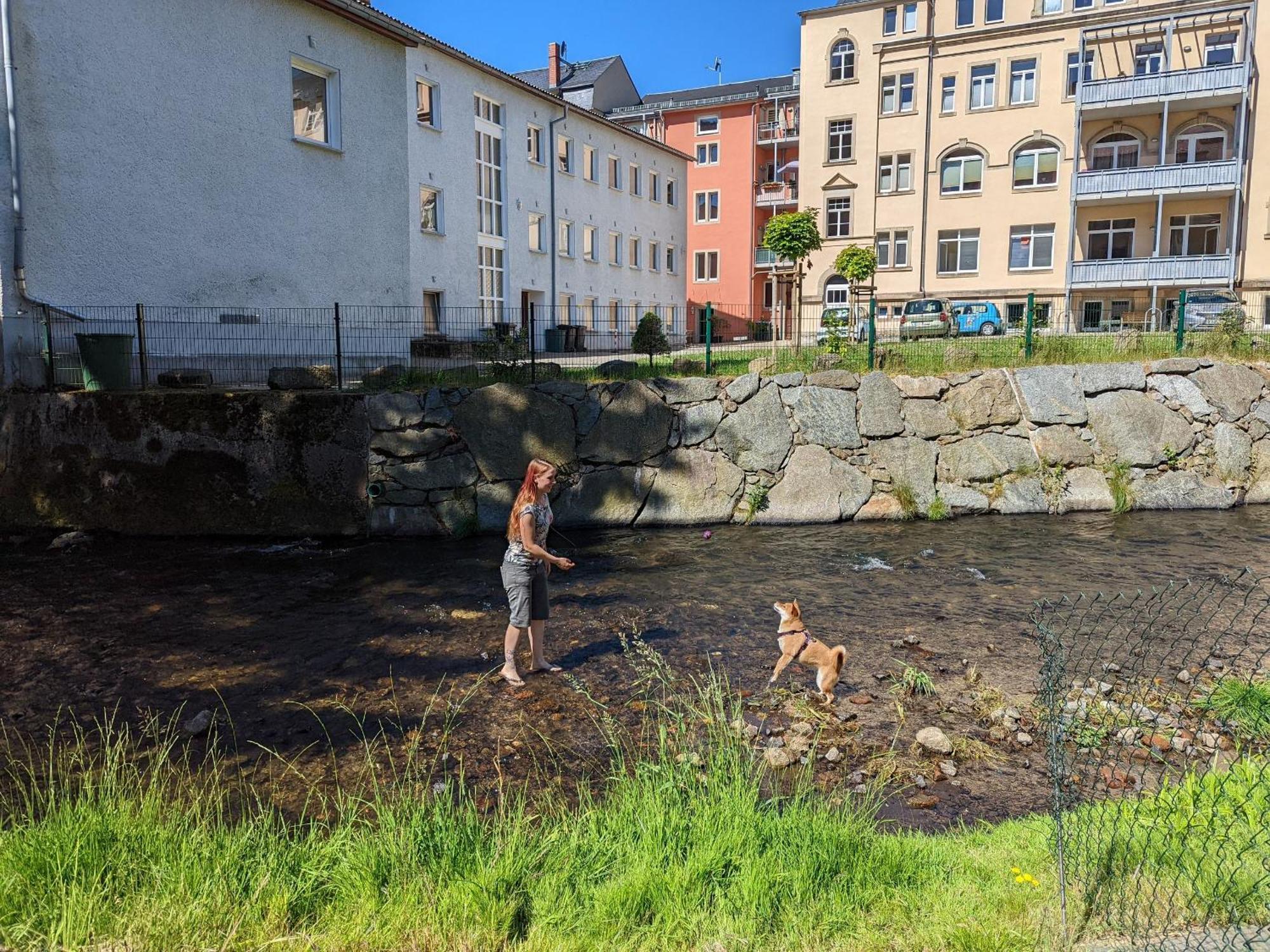 Hw1 - Urlaubsmagie - Sauna&Whirlpool Zum Entspannen Sebnitz Esterno foto