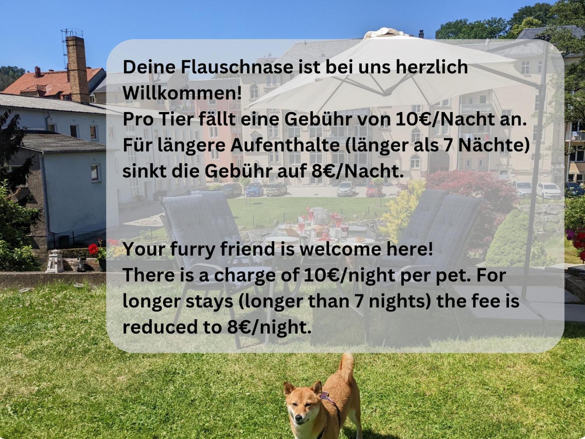 Hw1 - Urlaubsmagie - Sauna&Whirlpool Zum Entspannen Sebnitz Esterno foto